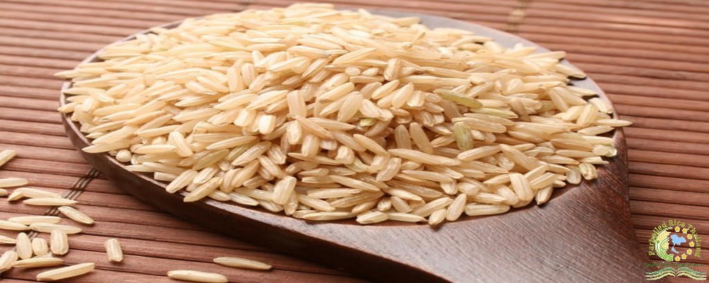 Brown Jasmine Rice 1