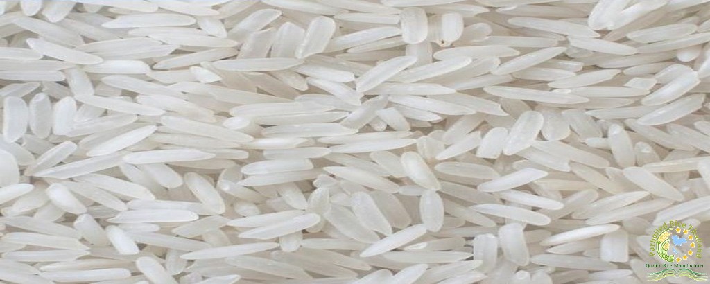 Organic Jasmine Rice 2