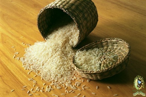 Organic Jasmine Rice