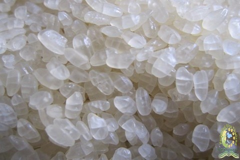 Organic Parboiled Rice