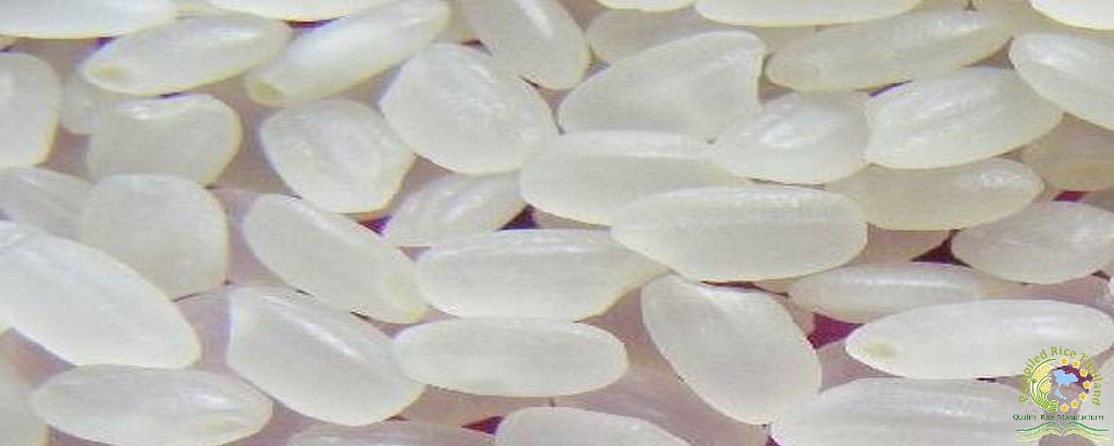 Parboiled Japonica Rice 2