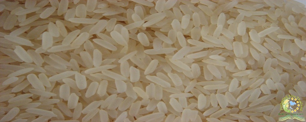 Parboiled Rice 2