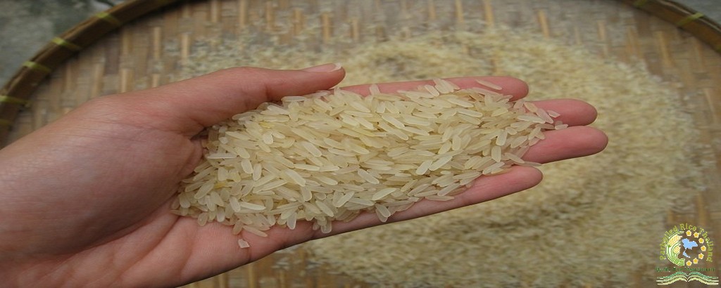 Thai Parboiled Rice 10% Broken