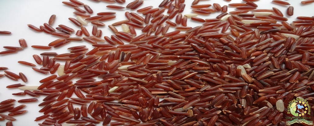 Thai Red Cargo Rice