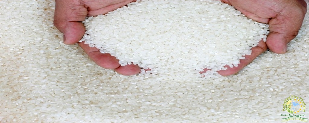 White Rice 100% Broken