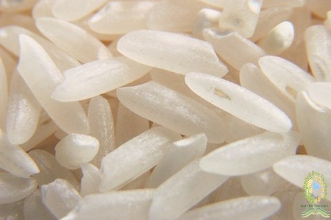 White Rice 25% Broken
